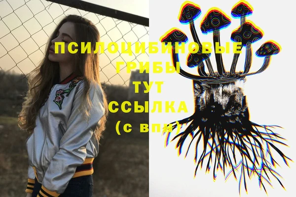 не бодяженный Абаза