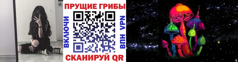 Псилоцибиновые грибы Psilocybe  Кострома 