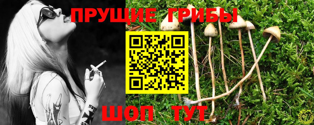 Псилоцибиновые грибы прущие грибы  Галлюциногенные грибы Psilocybine cubensis  Вход с VPN  Кострома 